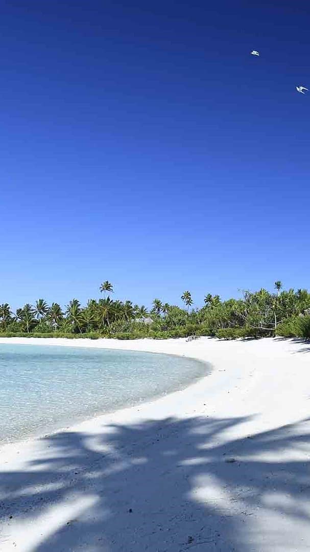 TTI-Gallery4-2000x1200_1253 (1)