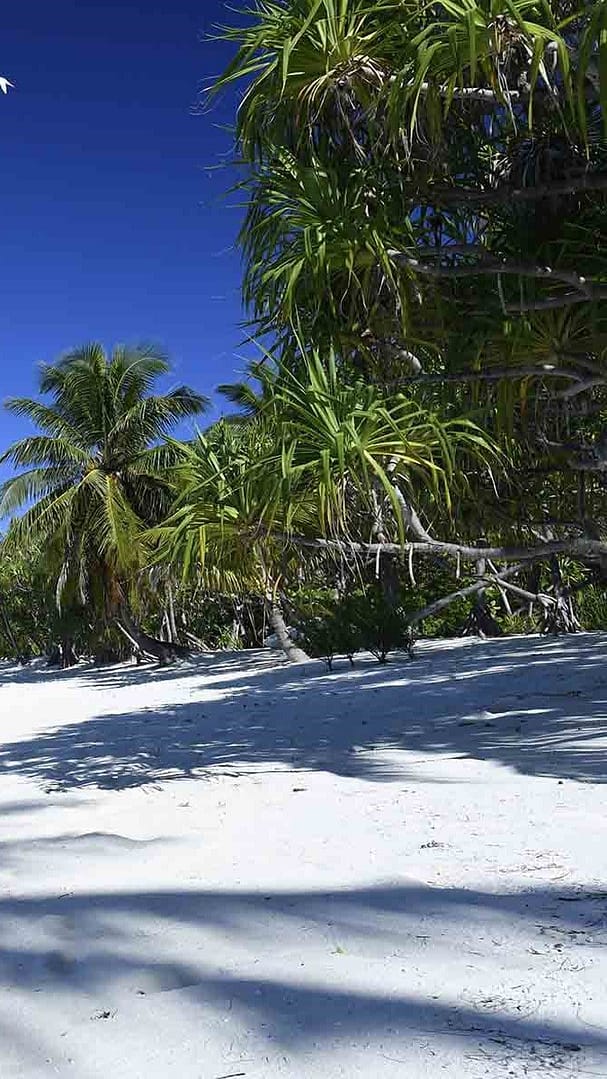 TTI-Gallery4-2000x1200_1253 (11)