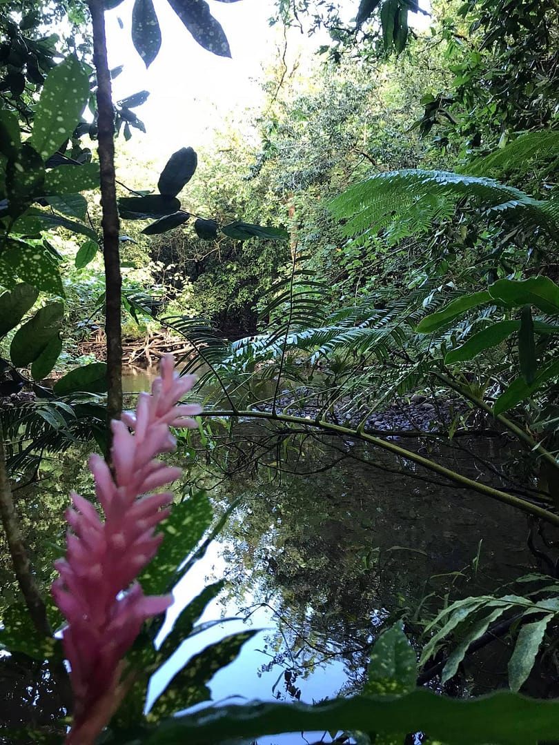 172114460_10217587352986229_5786406095462020194_n