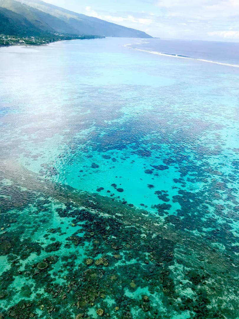 176281293_10217650589767109_2791310601201314112_n