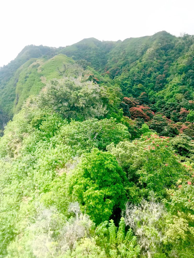 177042566_10217650591687157_4603688320642815685_n